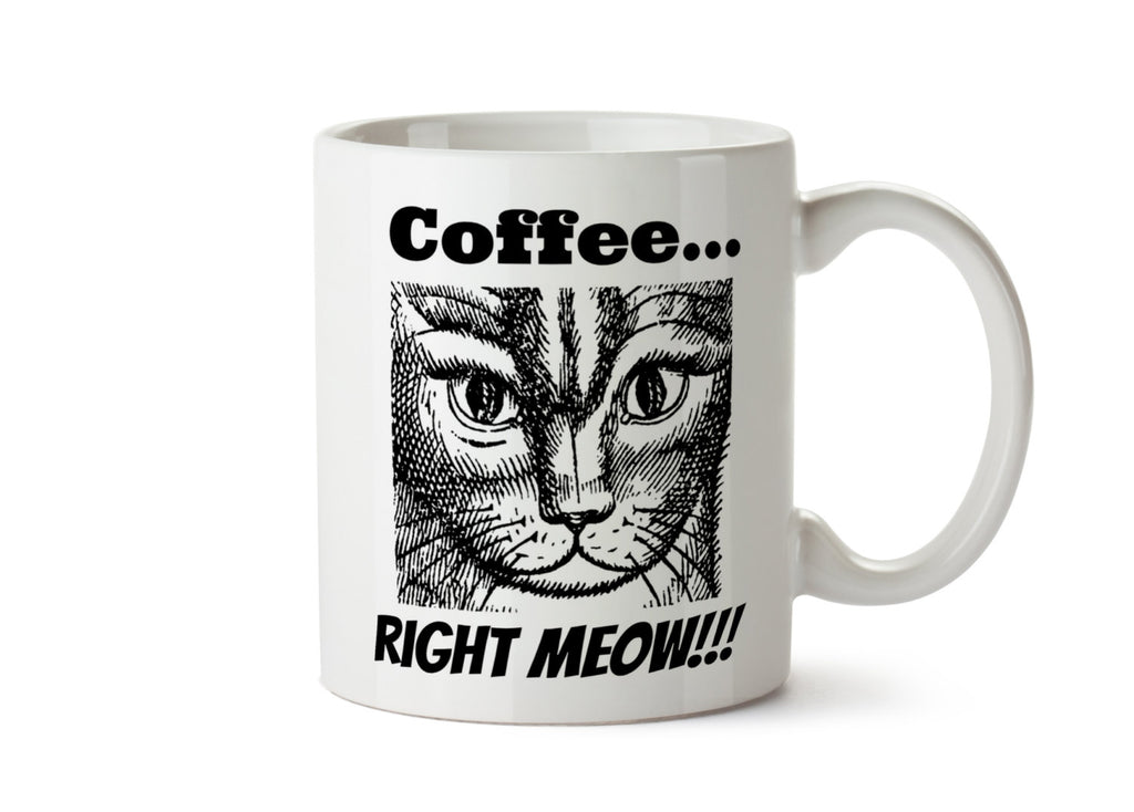 COFFEE...Right MEOW - DISHWASHER Safe Coffee Mug -  Add Own Text to Personalize - Funny gift